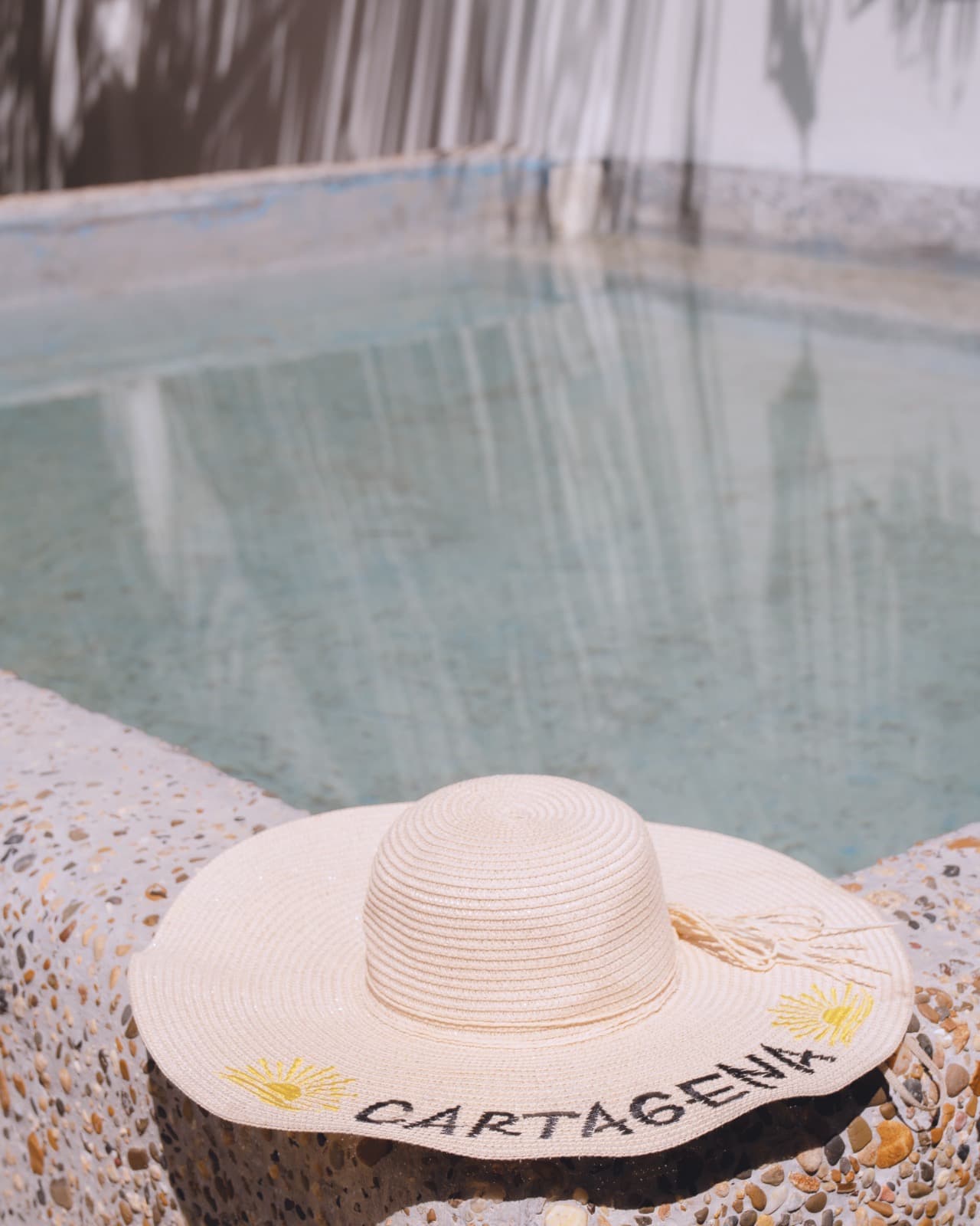 Casa Mangle — photo 17