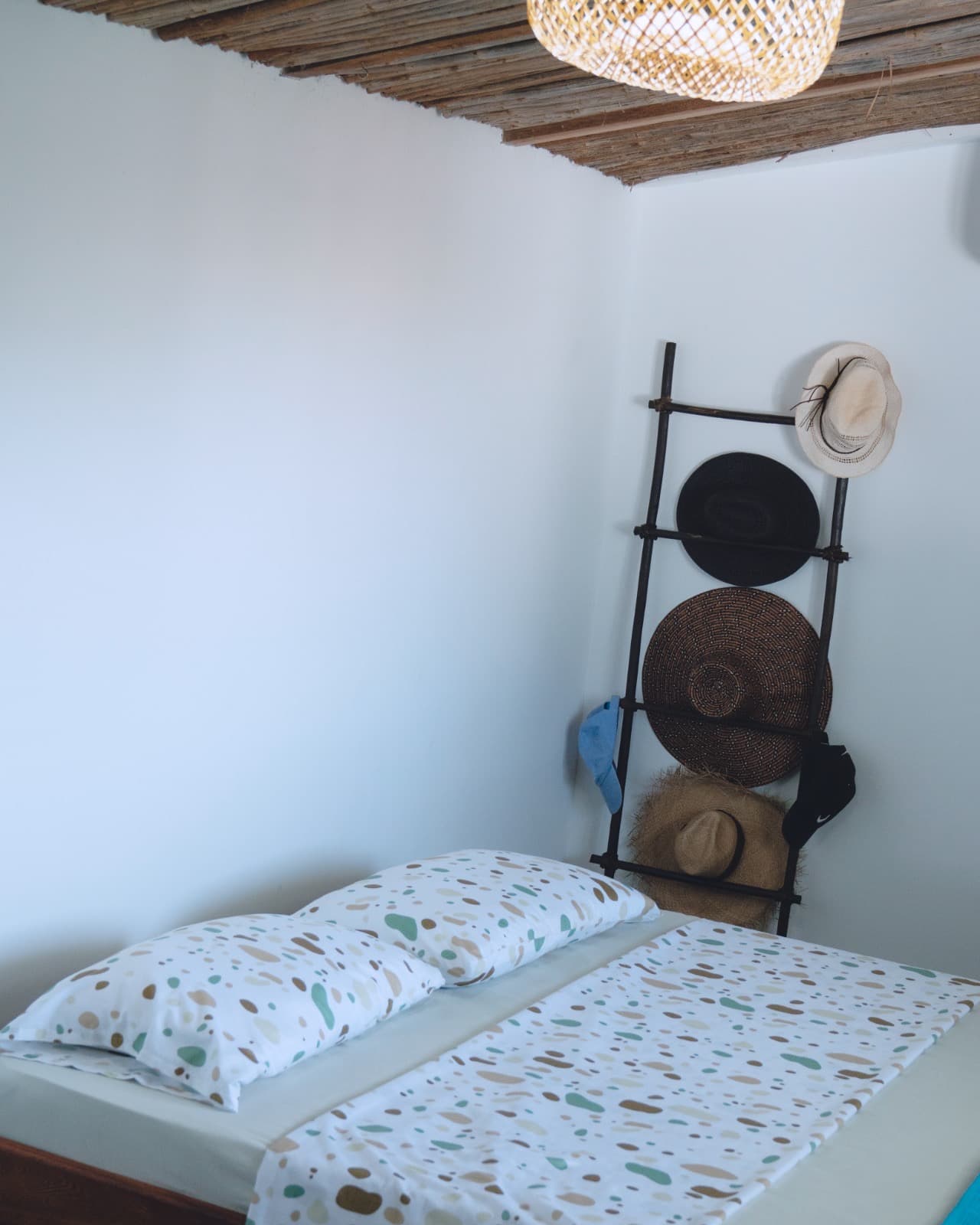 Casa Mangle — photo 24