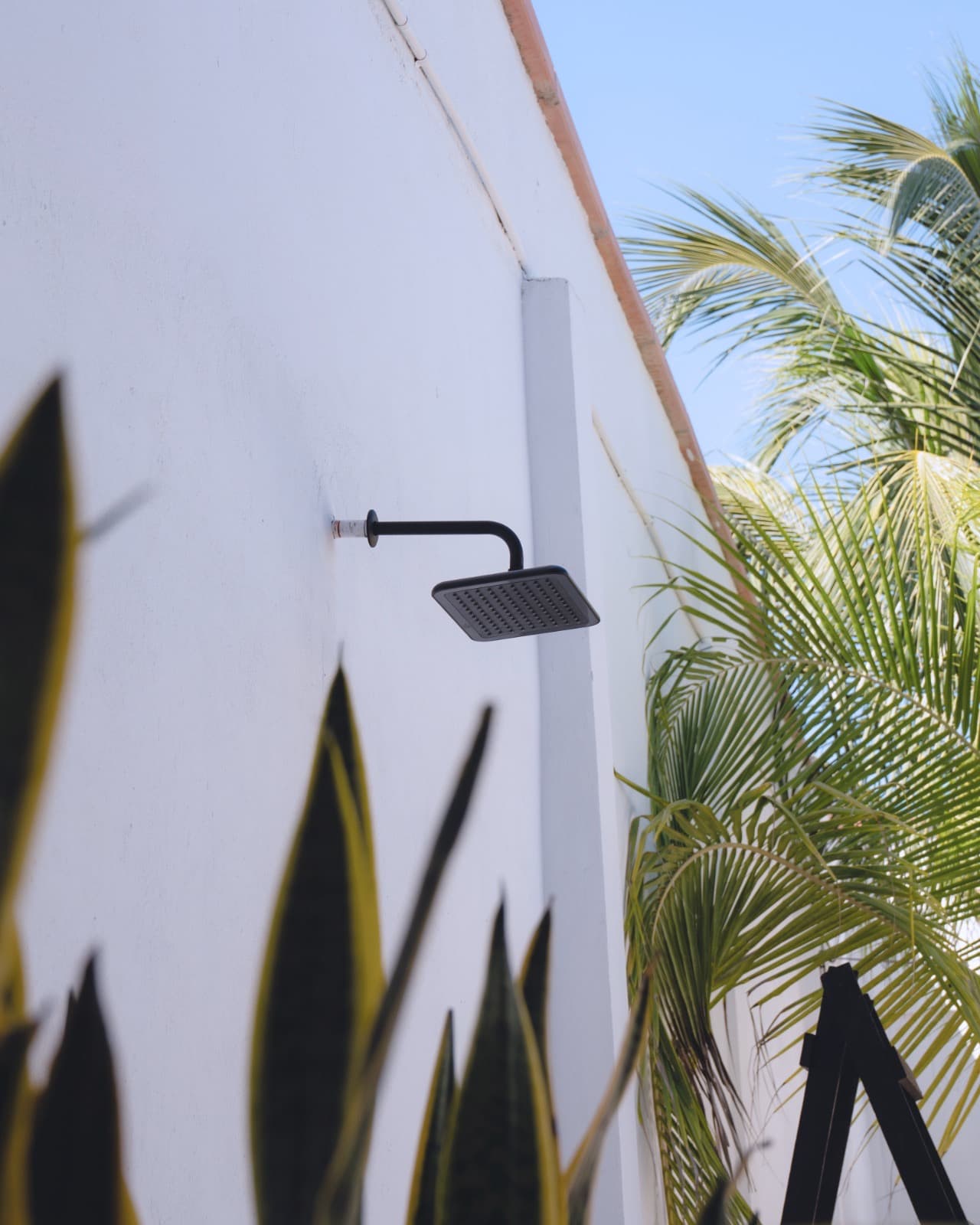 Casa Mangle — photo 39