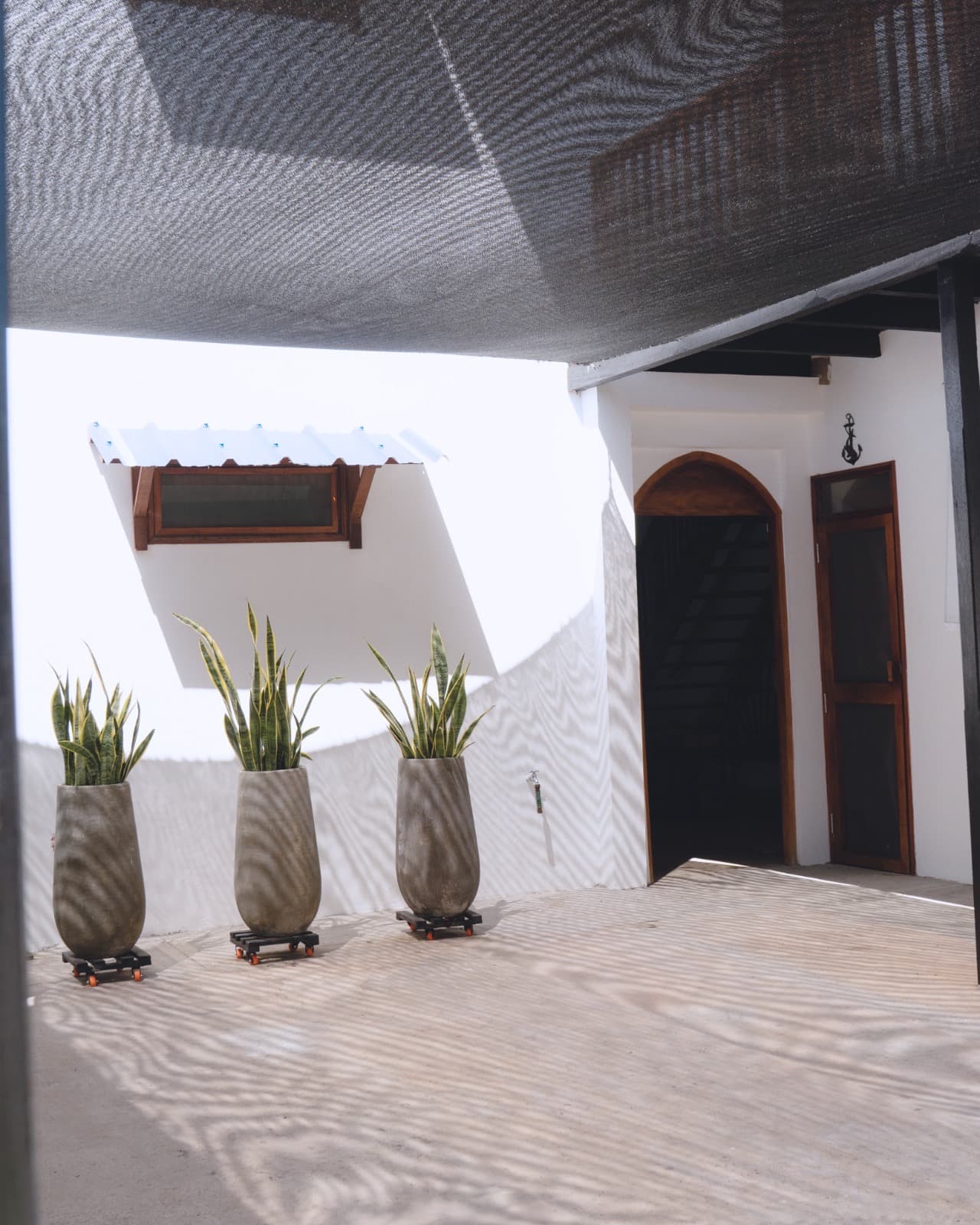 Casa Mangle — photo 46